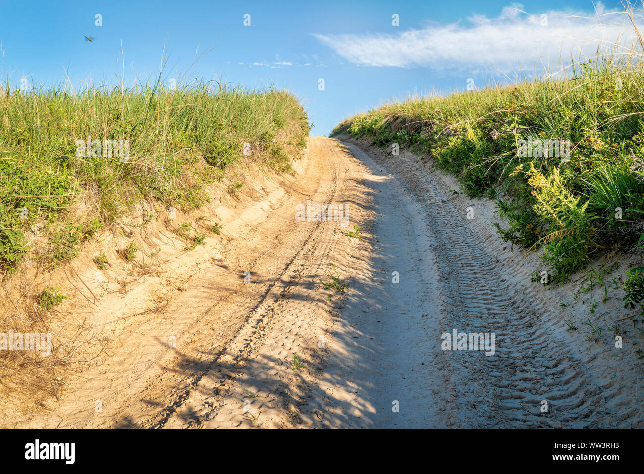 Sandy 4wd road nel Nebraska Sandhills, scenario estivo Foto Stock