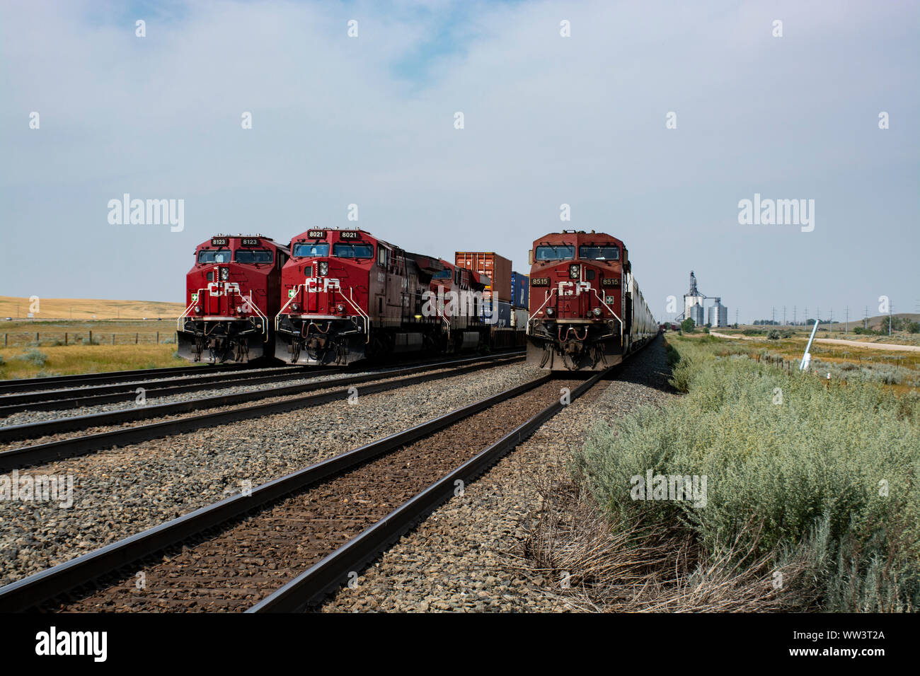 I treni in scena e pronto all'uso. Dunmore, Alberta, Canada Foto Stock