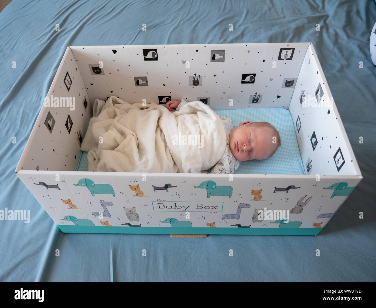 Neonato addormentato in un box per bambini Foto Stock
