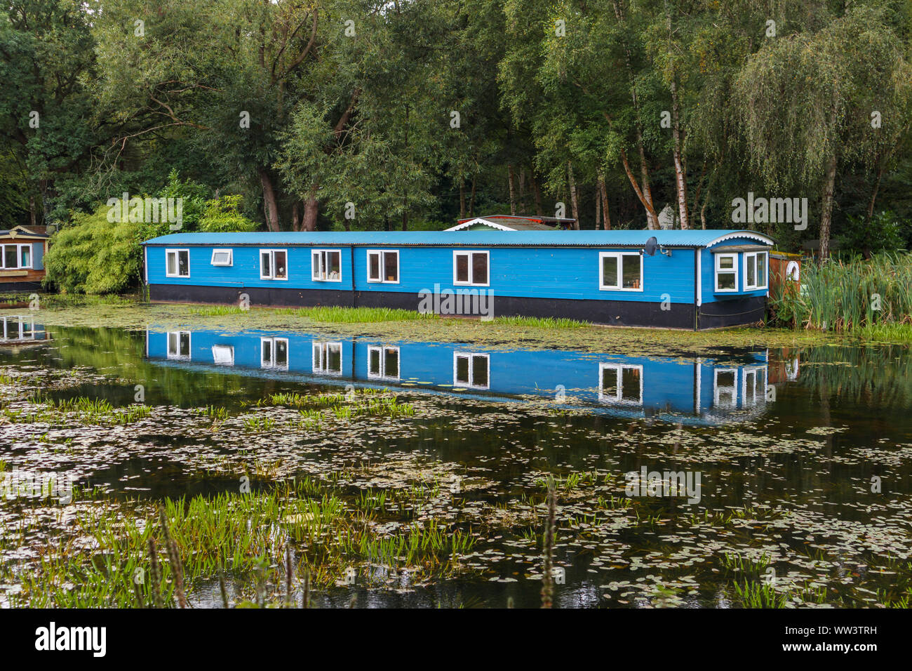 In legno di colore blu casa galleggiante ormeggiato sulle rive del Basingstoke Canal vicino eremo, Woking, Surrey, Inghilterra sudorientale, REGNO UNITO Foto Stock