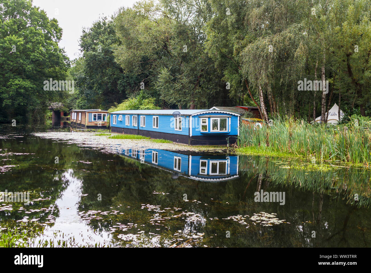 In legno di colore blu casa galleggiante ormeggiato sulle rive del Basingstoke Canal vicino eremo, Woking, Surrey, Inghilterra sudorientale, REGNO UNITO Foto Stock