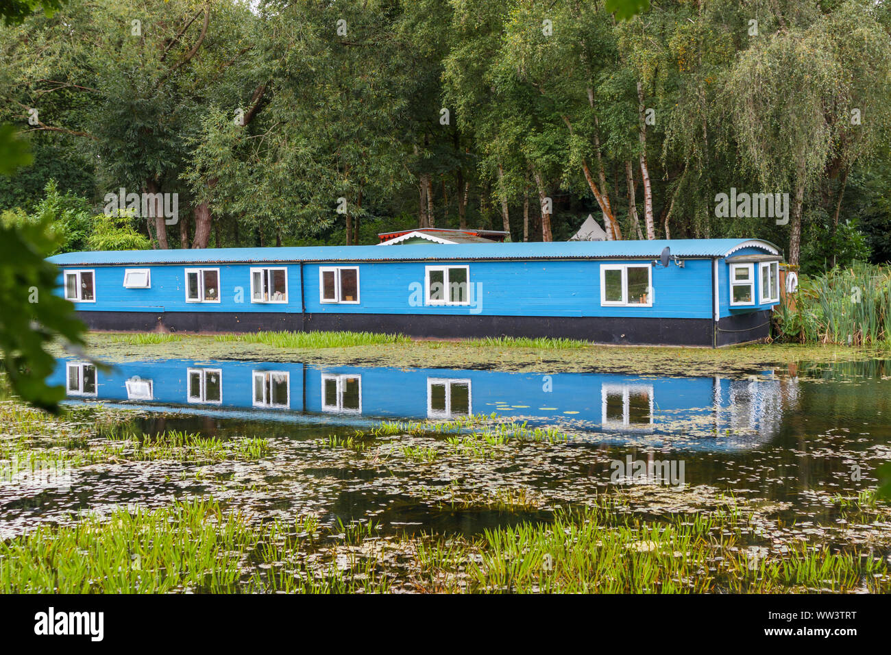 In legno di colore blu casa galleggiante ormeggiato sulle rive del Basingstoke Canal vicino eremo, Woking, Surrey, Inghilterra sudorientale, REGNO UNITO Foto Stock