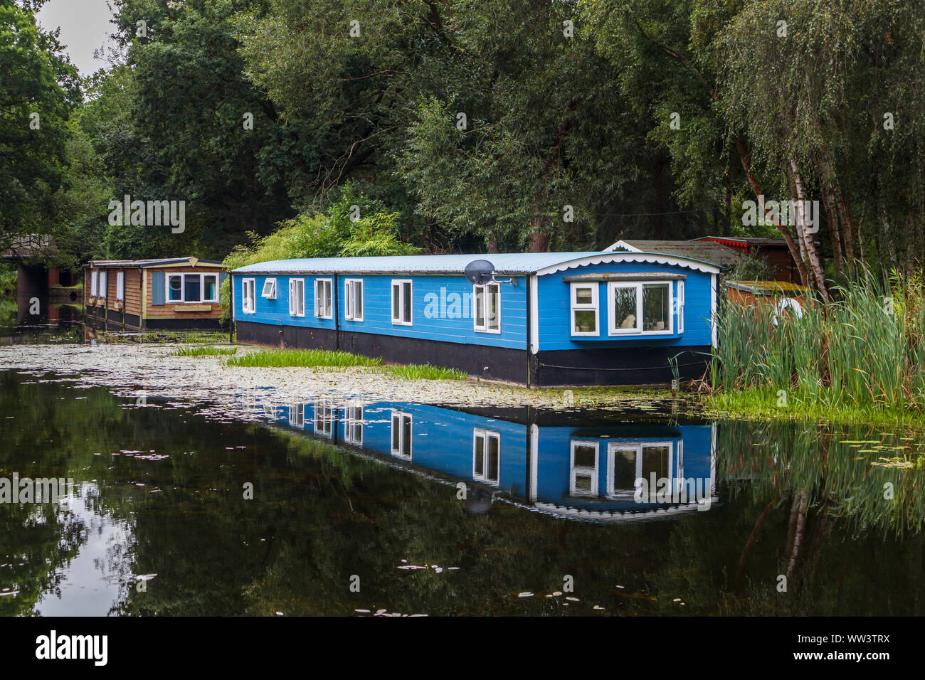 In legno di colore blu casa galleggiante ormeggiato sulle rive del Basingstoke Canal vicino eremo, Woking, Surrey, Inghilterra sudorientale, REGNO UNITO Foto Stock