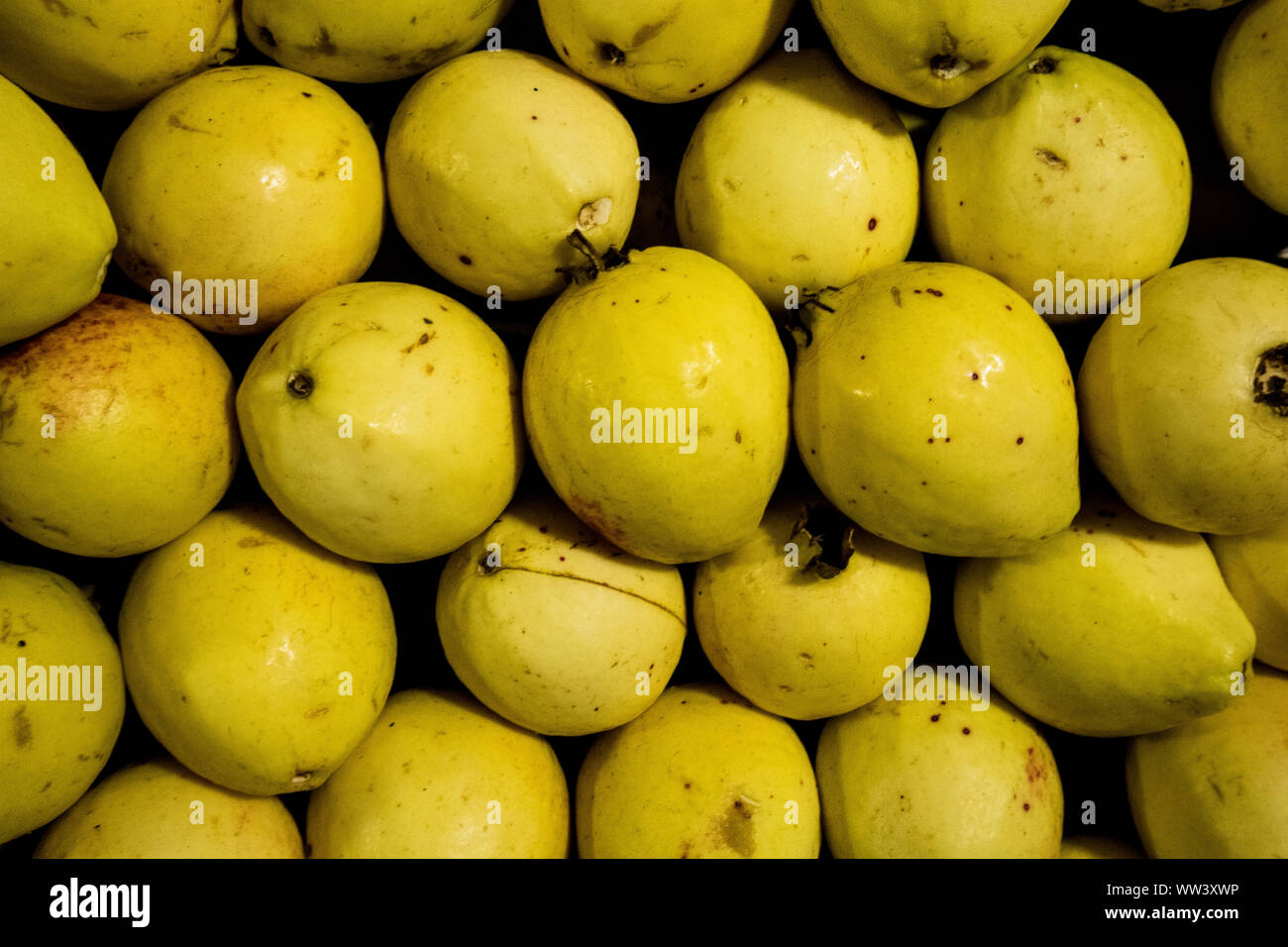 Guayaba Foto Stock