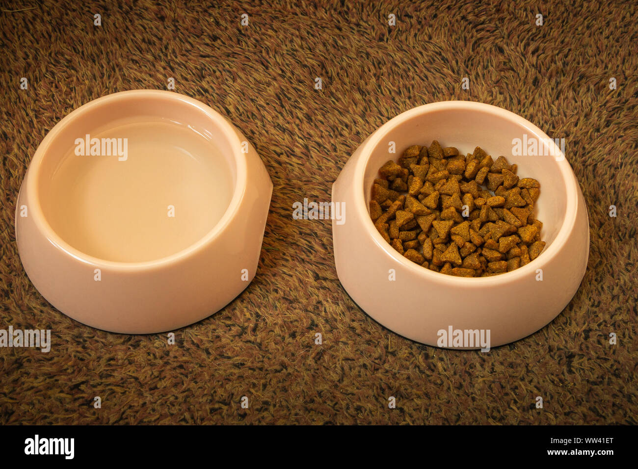 Cat cibo e acqua in rosa tazze per prendersi cura della salute del vostro gatto domestico, la foto è stata scattata in Paesi Bassi Foto Stock