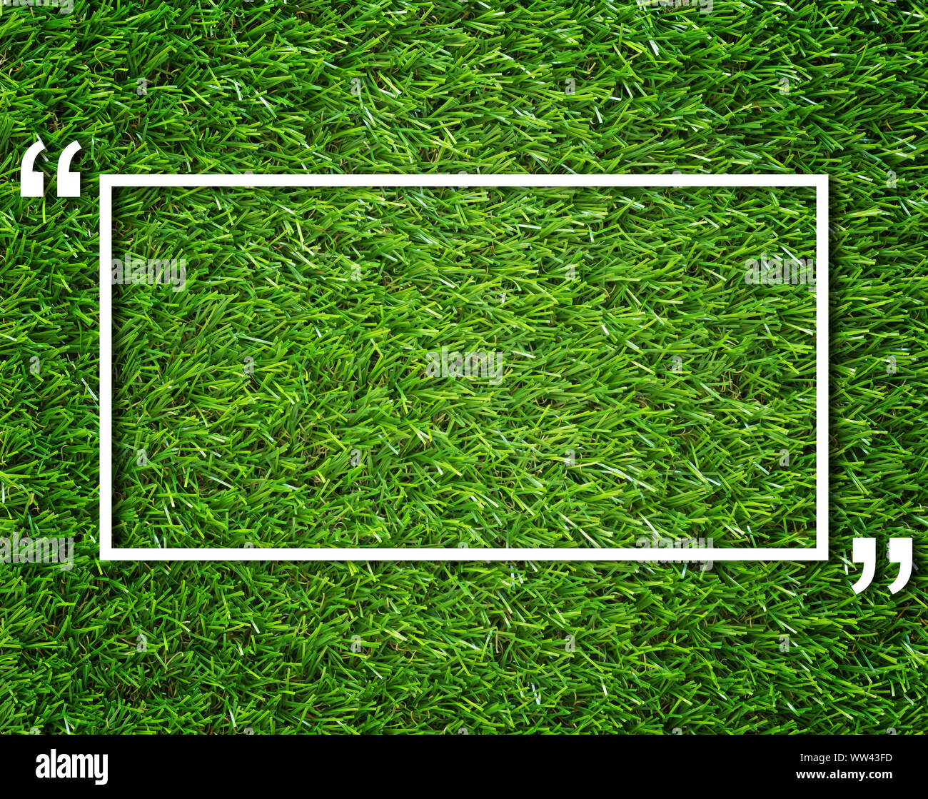 Piazza casella di testo e virgolette su erba verde sfondo, concetto di comunicazione Foto Stock