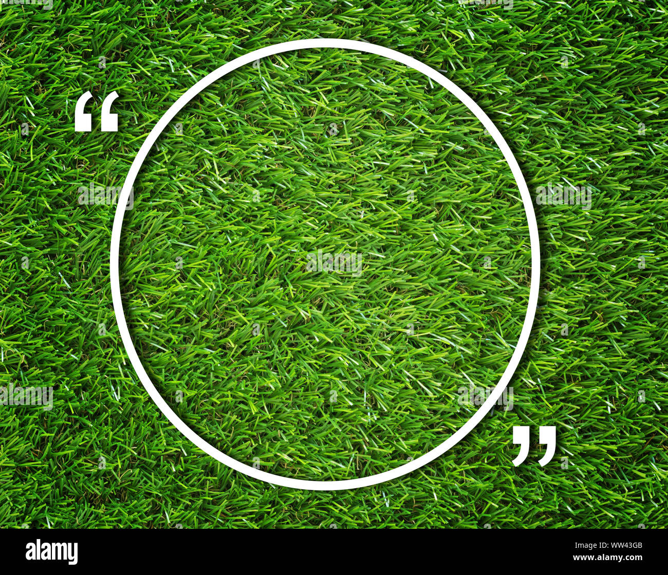 Round nella casella di testo e virgolette su erba verde sfondo, concetto di comunicazione Foto Stock