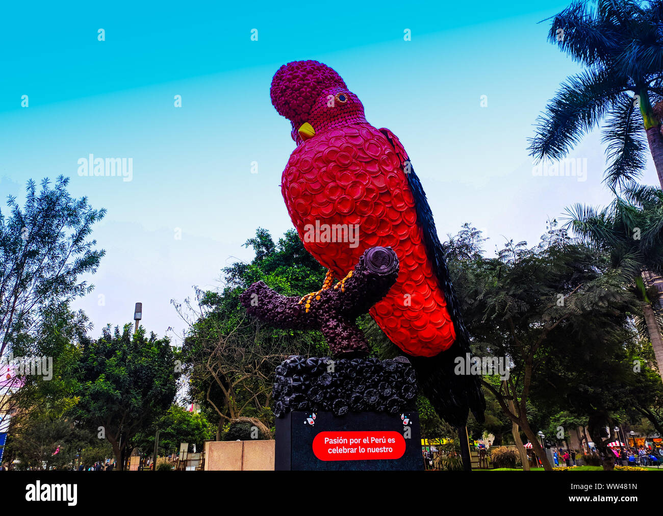 Tunqui, anche chiamato el gallito de la Roca, questo uccello si può trovare al amazone in Perù Foto Stock