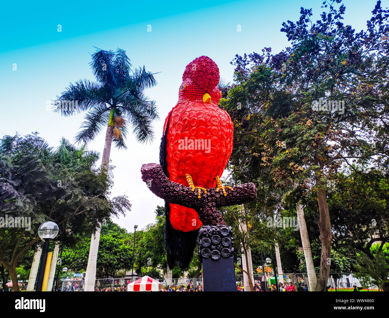 Tunqui, anche chiamato el gallito de la Roca, questo uccello si può trovare al amazone in Perù Foto Stock