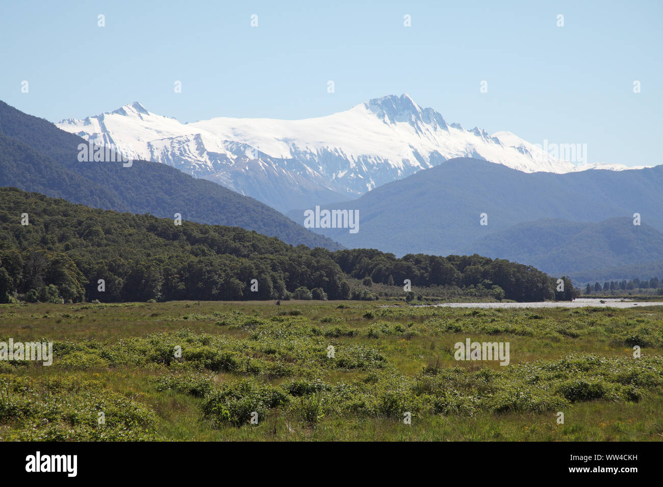 Piacevoli appartamenti con Mount Hooker oltre Haast Valle Isola del Sud della Nuova Zelanda Foto Stock