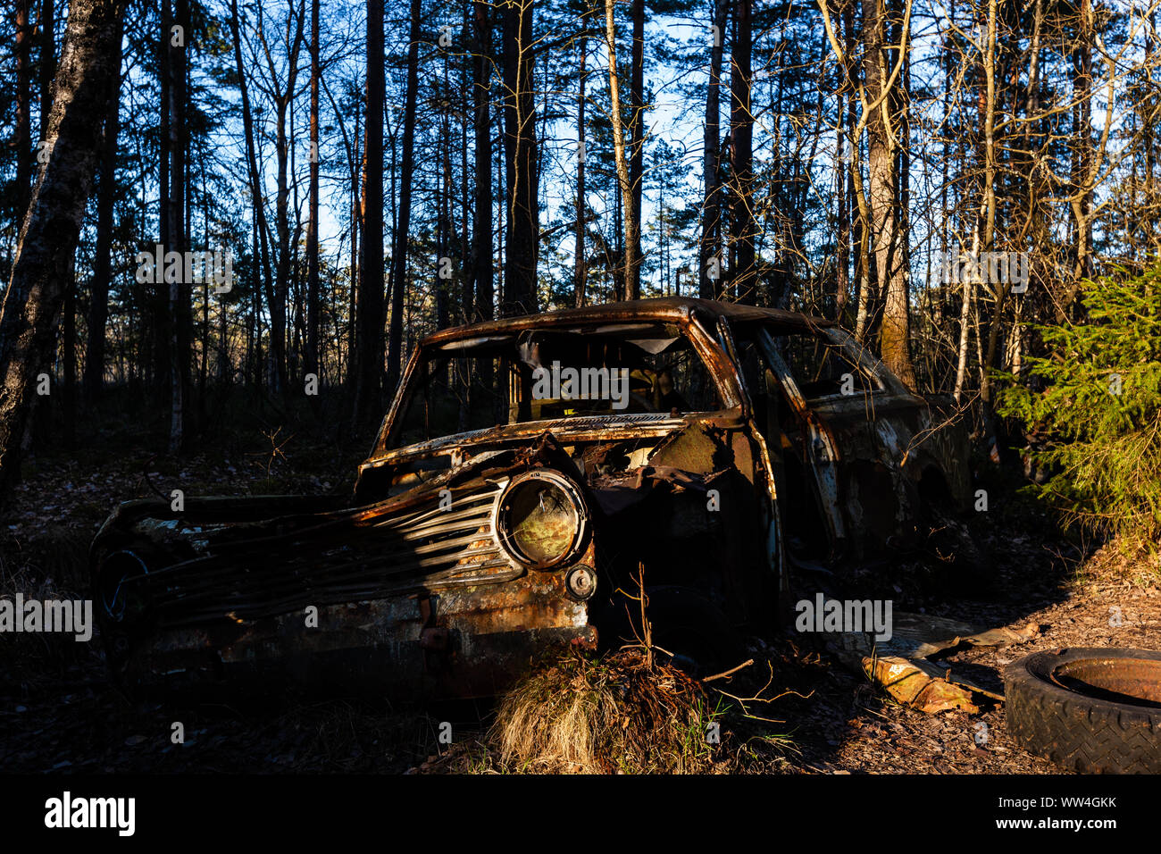 La formazione di ruggine e la carie al Kyrkö cimitero di auto in Svezia Foto Stock