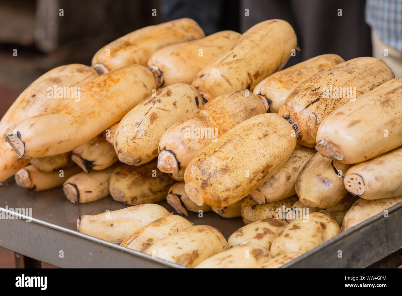 Chinese lotus root raw per la vendita in Cina città mercato di ingrediente alimentare Foto Stock