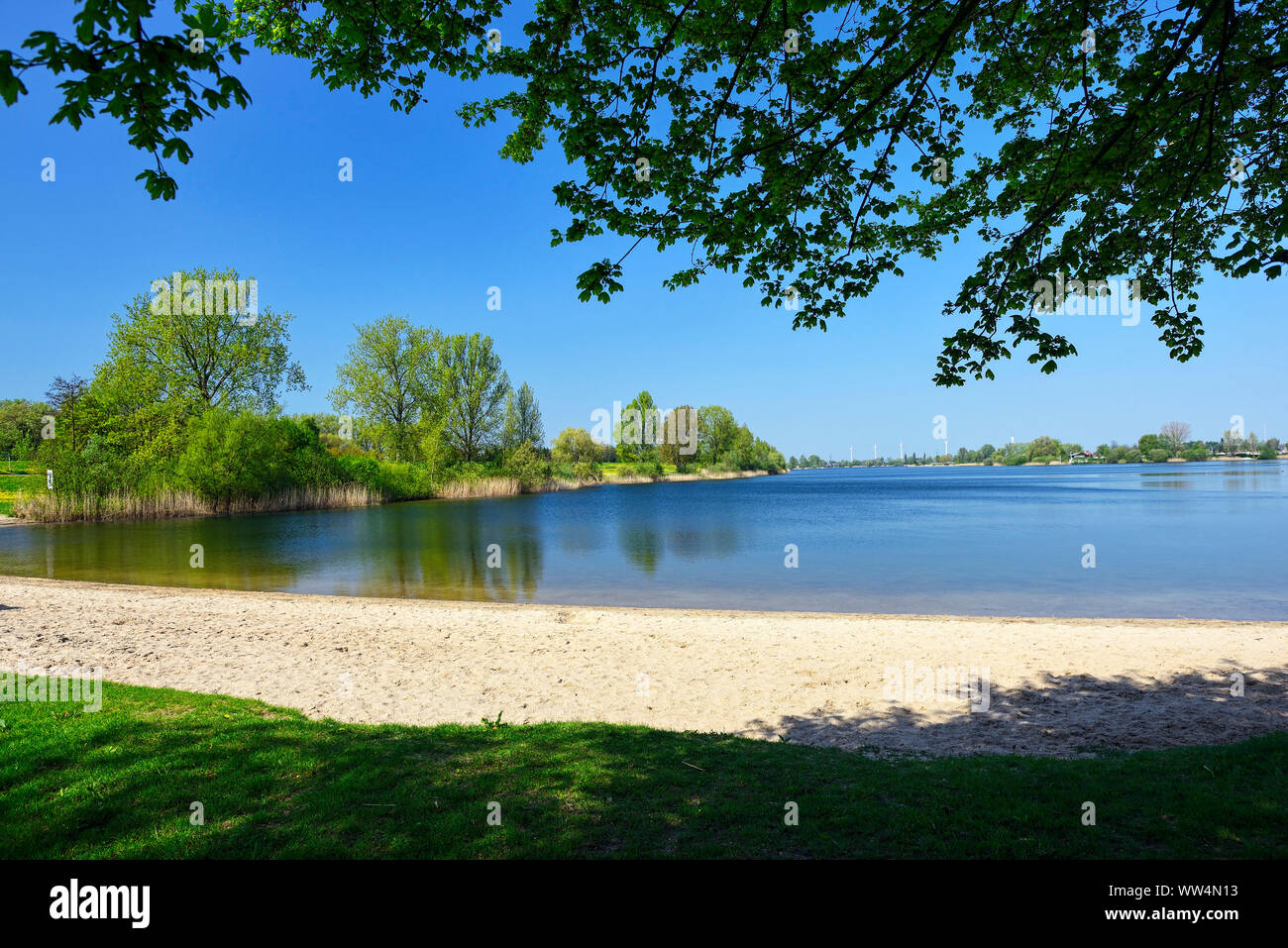 Lago Hohendeicher in Ochsenwerder, Amburgo, Germania, Europa Foto Stock