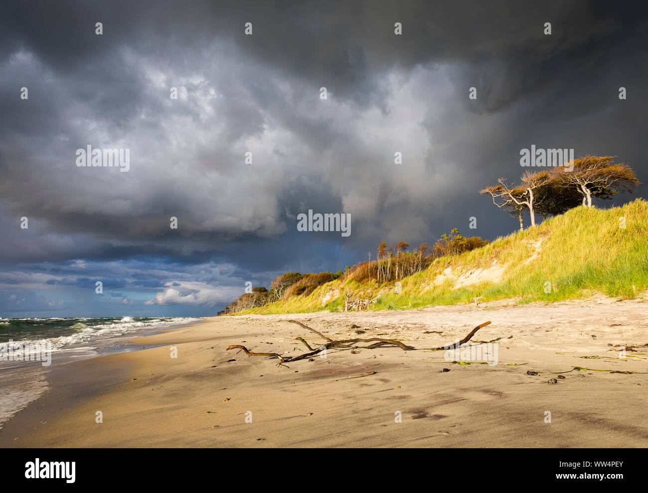 Pioggia nuvole sopra la spiaggia a ovest sul Mar Baltico, nato am DarÃŸ, DarÃŸ, Fischland-Darß-Zingst, Western Pomerania Area Laguna National Park, Meclemburgo-Pomerania Occidentale, Germania Foto Stock