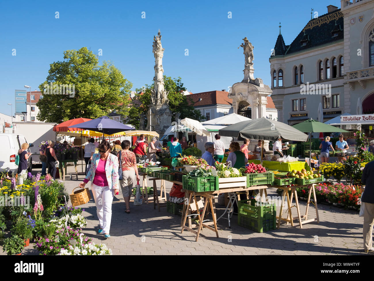Mercato sulla piazza principale di fronte al municipio, Korneuburg, Weinviertel, Austria Inferiore, Austria Foto Stock