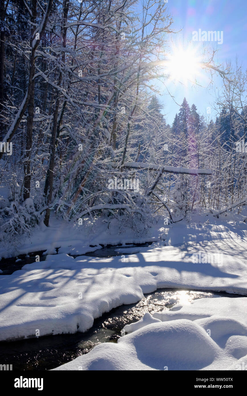 Obere Argen in Eistobel vicino GrÃ¼nenbach, west AllgÃ¤u, AllgÃ¤u, Svevia, Baviera, Germania Foto Stock