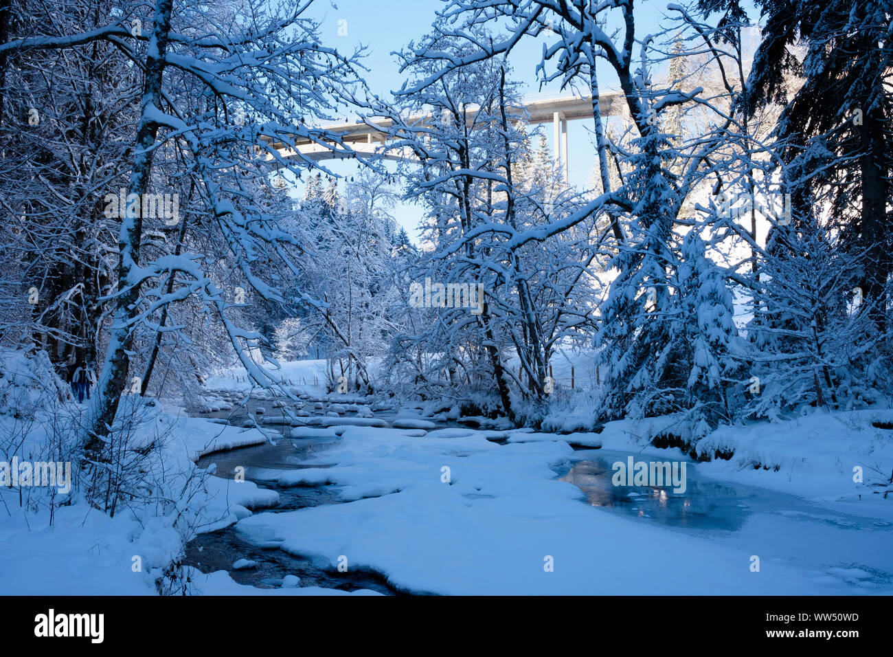 EistobelbrÃ¼Cke, Obere Argen in Eistobel vicino GrÃ¼nenbach, west AllgÃ¤u, AllgÃ¤u, Svevia, Baviera, Germania Foto Stock