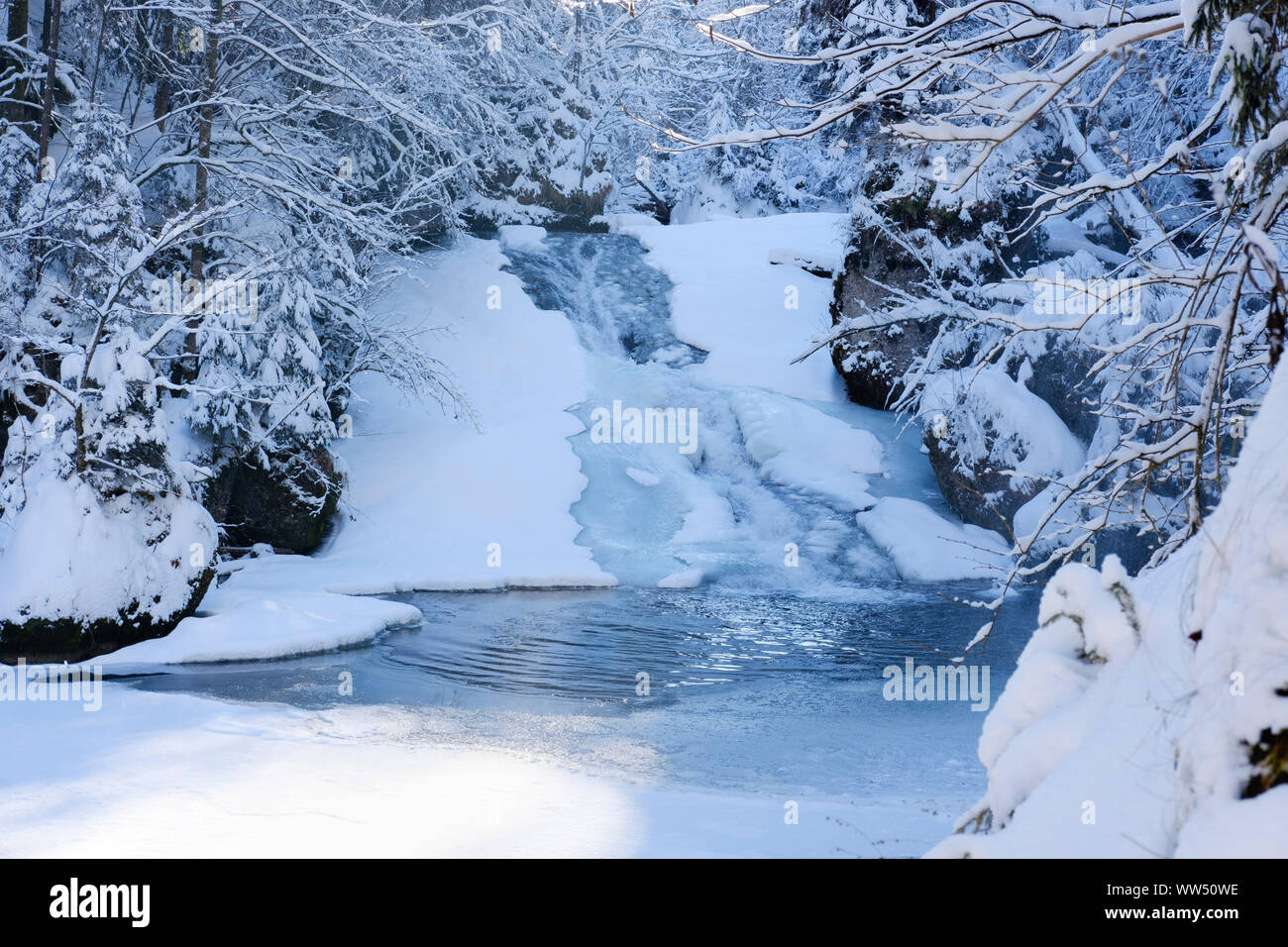 Obere Argen in Eistobel vicino GrÃ¼nenbach, west AllgÃ¤u, AllgÃ¤u, Svevia, Baviera, Germania Foto Stock