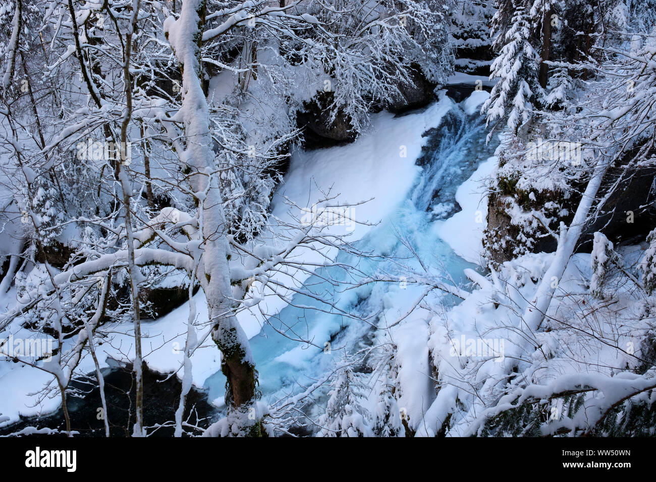 Obere Argen in Eistobel vicino GrÃ¼nenbach, west AllgÃ¤u, AllgÃ¤u, Svevia, Baviera, Germania Foto Stock