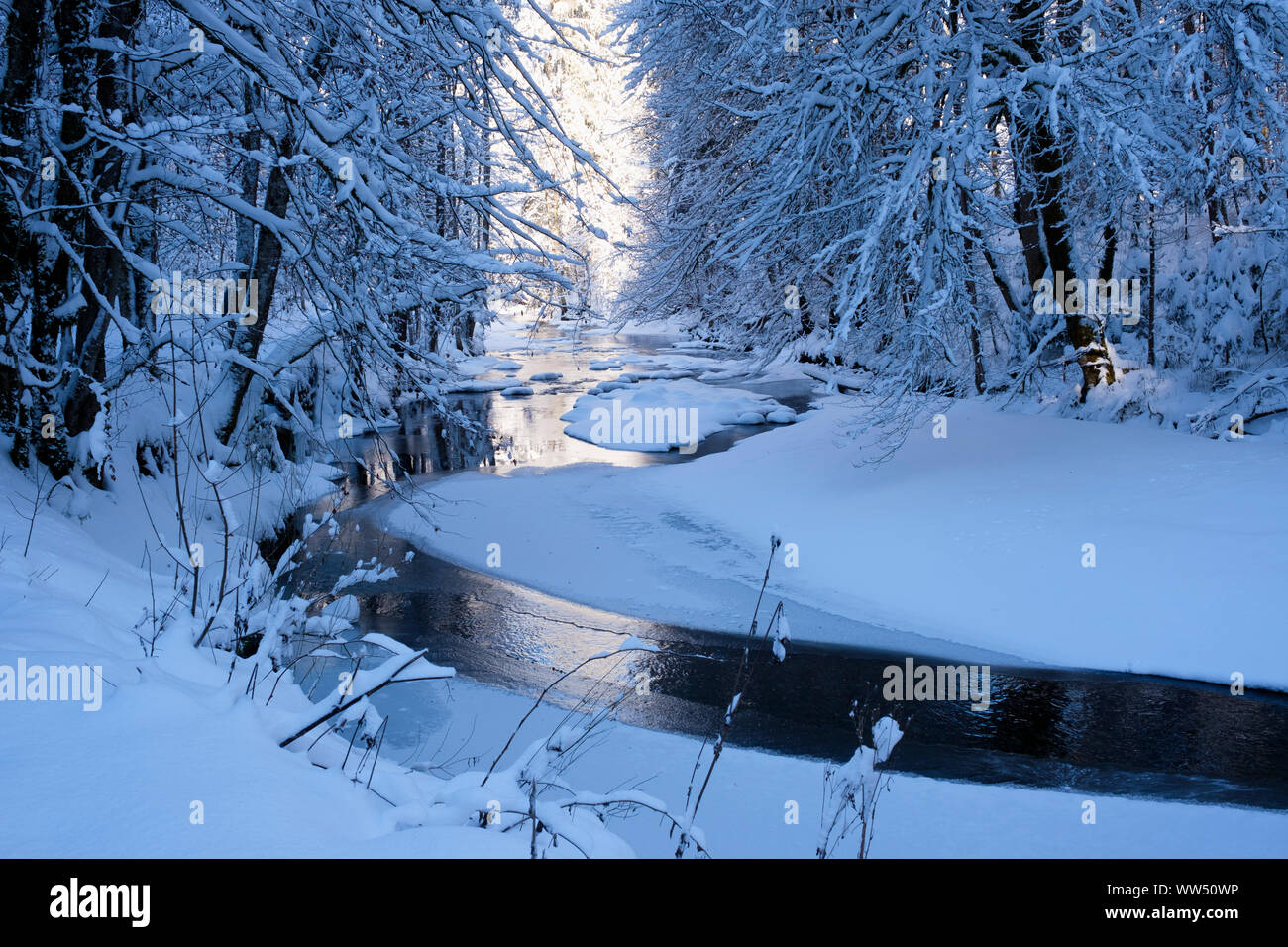 Obere Argen in Eistobel vicino GrÃ¼nenbach, west AllgÃ¤u, AllgÃ¤u, Svevia, Baviera, Germania Foto Stock