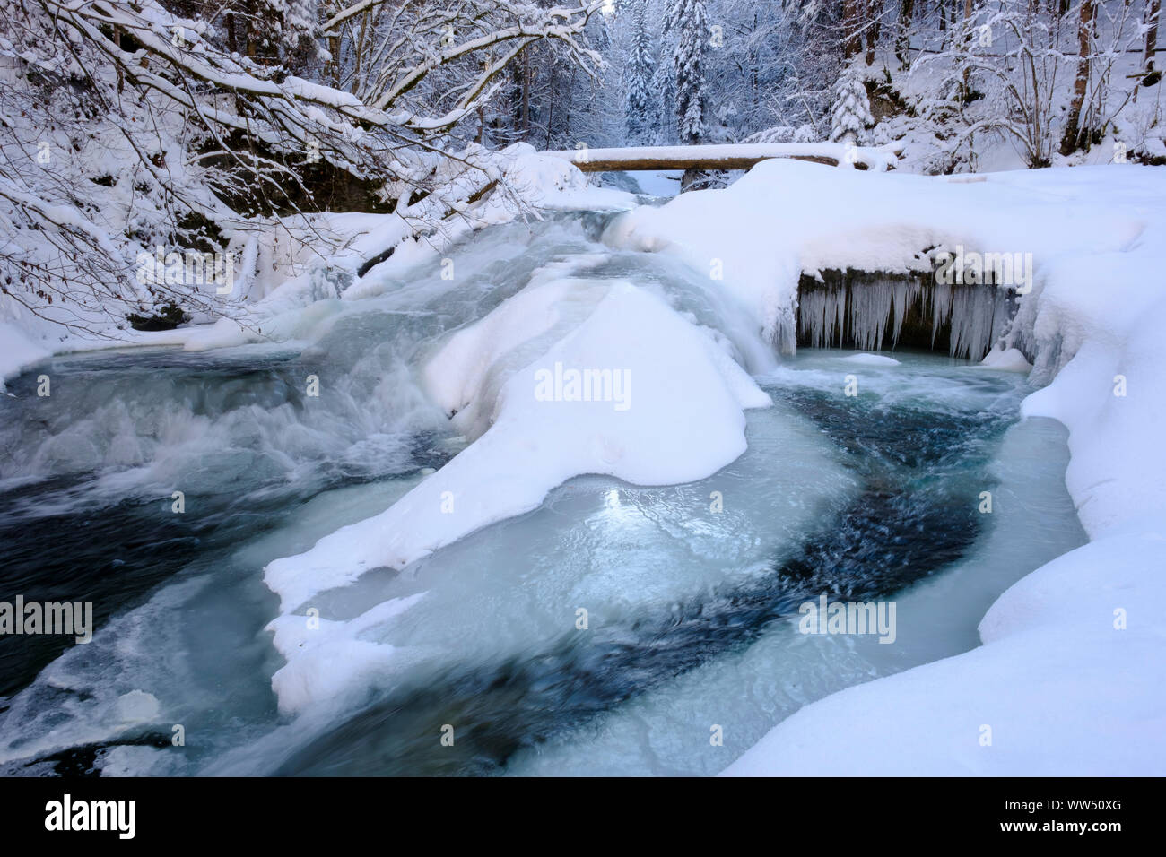 Obere Argen in Eistobel vicino GrÃ¼nenbach, west AllgÃ¤u, AllgÃ¤u, Svevia, Baviera, Germania Foto Stock