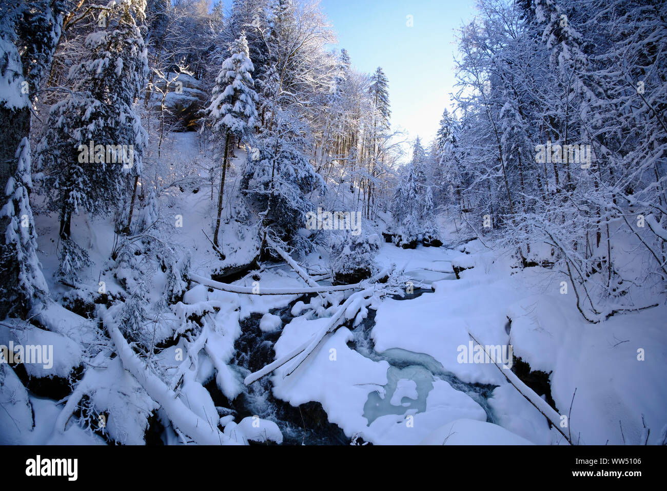 Obere Argen in Eistobel vicino GrÃ¼nenbach, west AllgÃ¤u, AllgÃ¤u, Svevia, Baviera, Germania Foto Stock