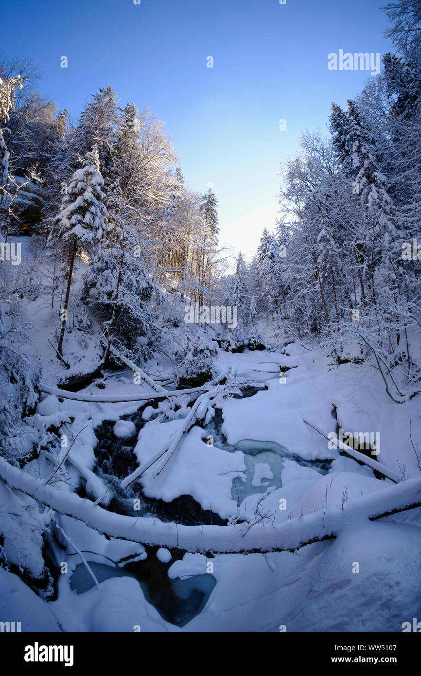Obere Argen in Eistobel vicino GrÃ¼nenbach, west AllgÃ¤u, AllgÃ¤u, Svevia, Baviera, Germania Foto Stock