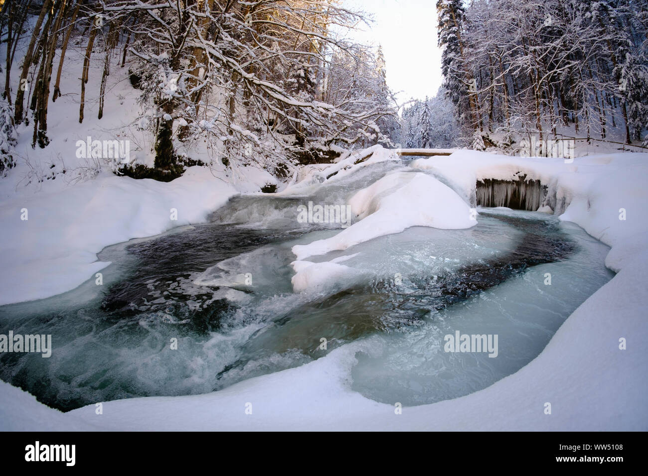 Obere Argen in Eistobel vicino GrÃ¼nenbach, west AllgÃ¤u, AllgÃ¤u, Svevia, Baviera, Germania Foto Stock
