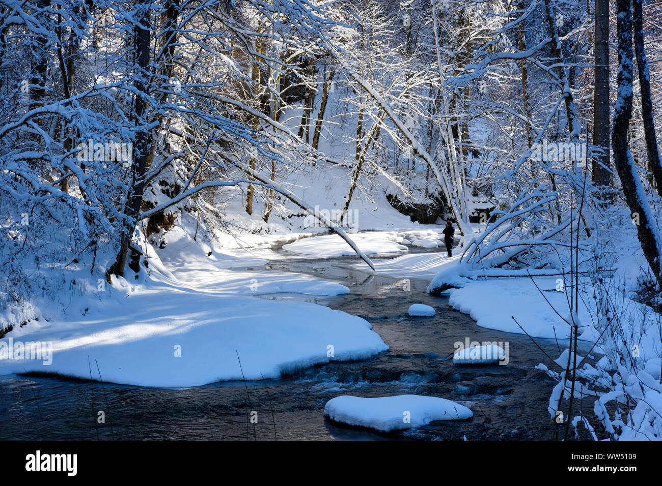 Obere Argen in Eistobel vicino GrÃ¼nenbach, west AllgÃ¤u, AllgÃ¤u, Svevia, Baviera, Germania Foto Stock