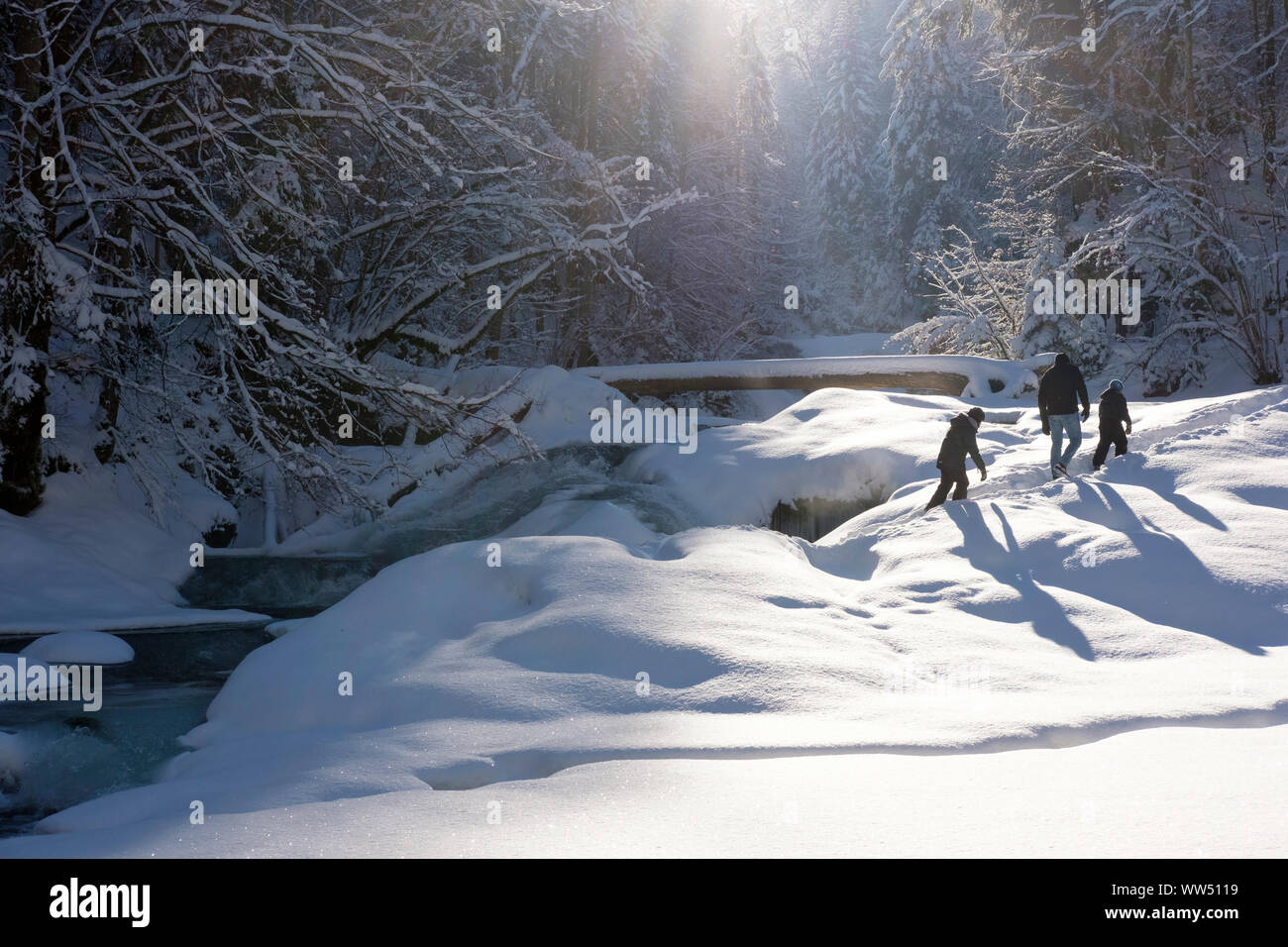 Obere Argen in Eistobel vicino GrÃ¼nenbach, west AllgÃ¤u, AllgÃ¤u, Svevia, Baviera, Germania Foto Stock
