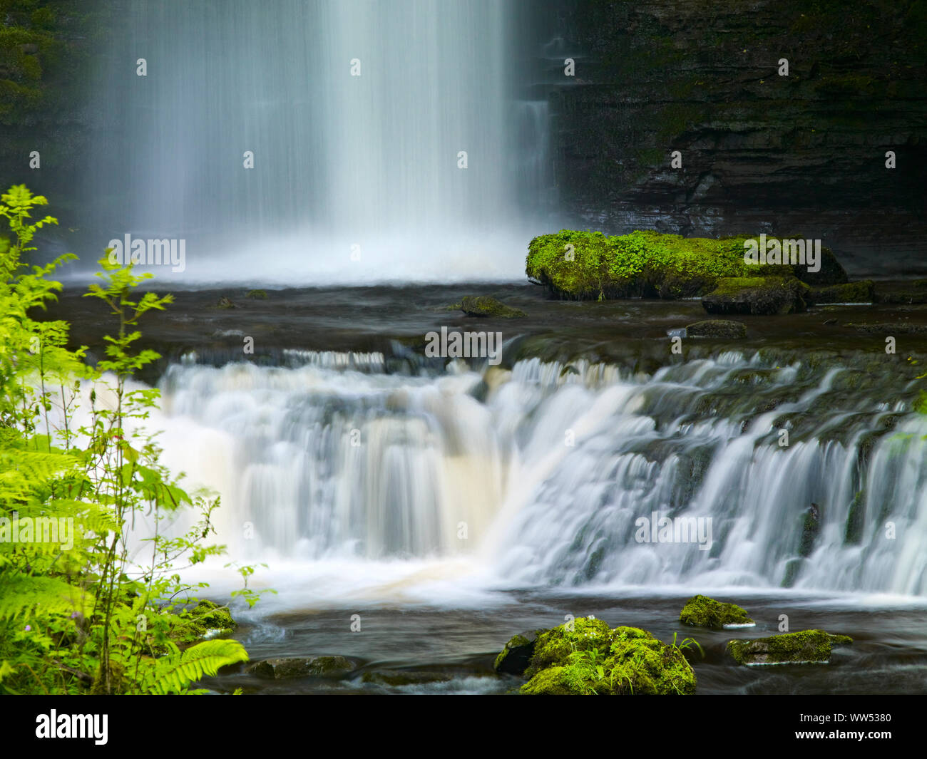 L'Irlanda, nella Contea di Leitrim, Glencar cascata nella foresta Glencar Foto Stock