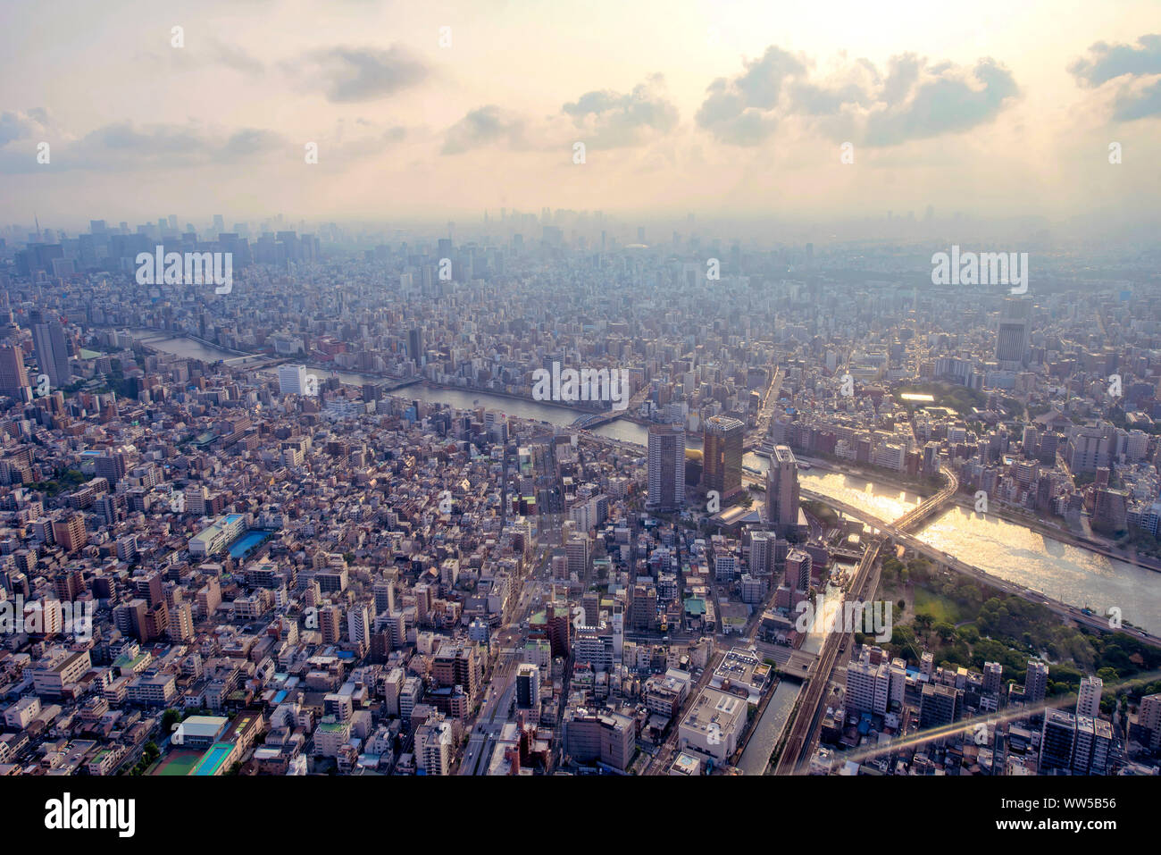 Aerial cityscape, Tokyo, Honshu, Giappone Foto Stock