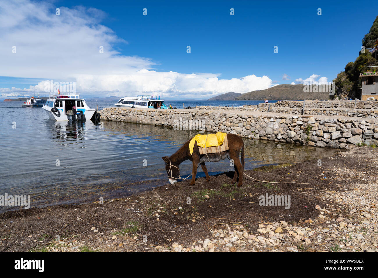 Copacabana, sul lago Titicaca, Bolivia Foto Stock