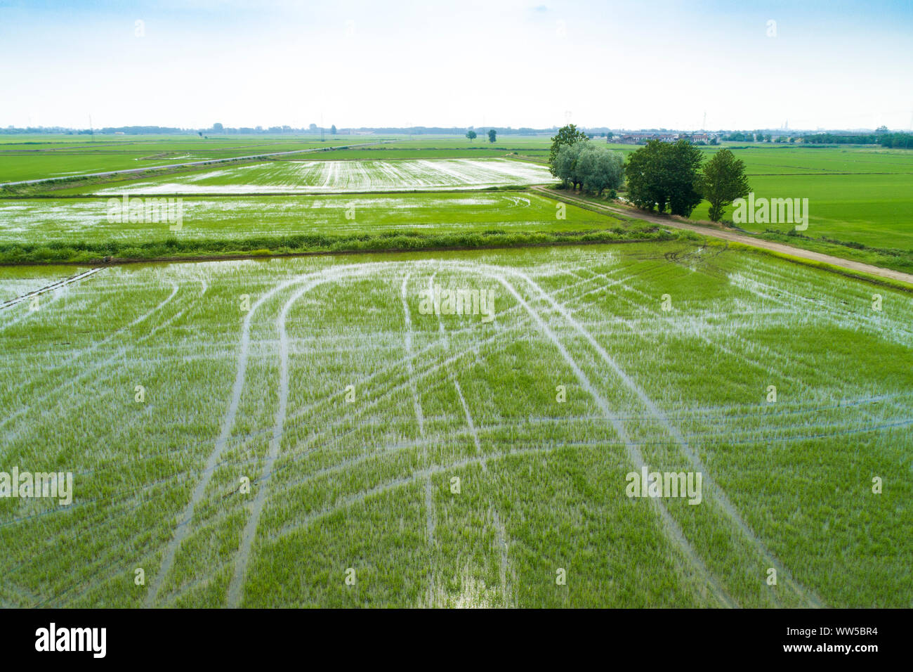 Campi allagati per la coltivazione del riso visto dal di sopra, panorama della valle Padana, Piemonte, Italia Foto Stock