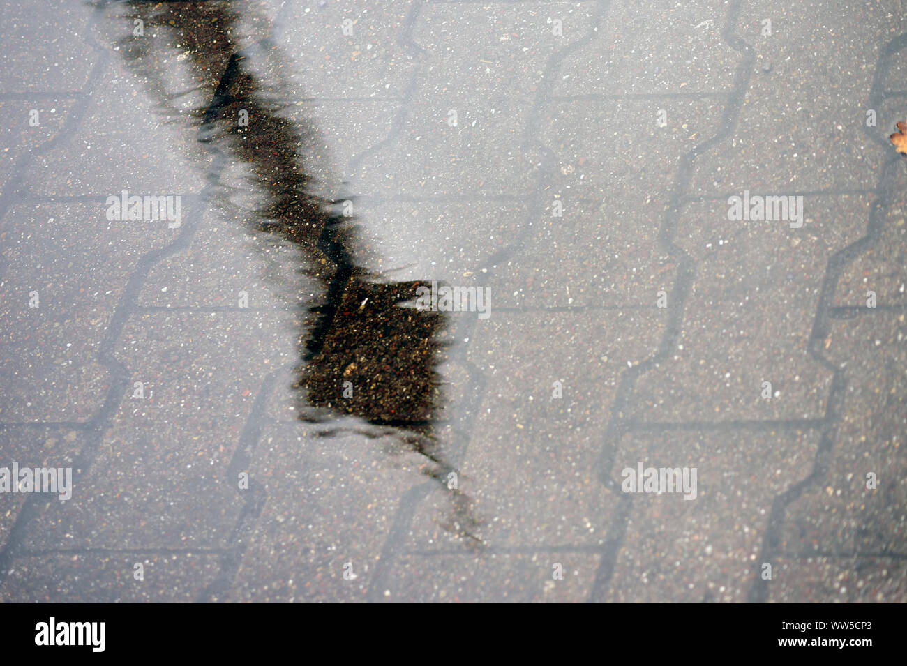 La Berlino torre radio che riflette in una pozza di pioggia su un marciapiede con pietre per pavimentazione, Foto Stock