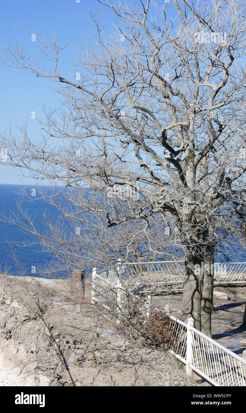 Il bordo di chalk rock, KÃ¶nigsstuhl, sull'isola RÃ¼gen con bianco sorprendente alberi, Foto Stock