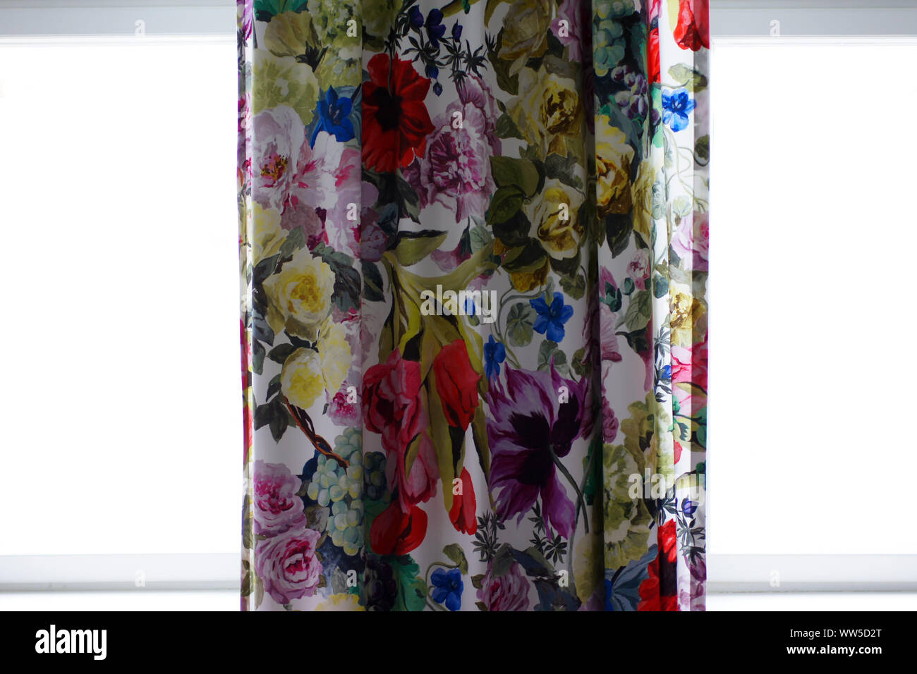 La fotografia di una cortina di fiori nella parte anteriore di un illuminato finestra, Foto Stock