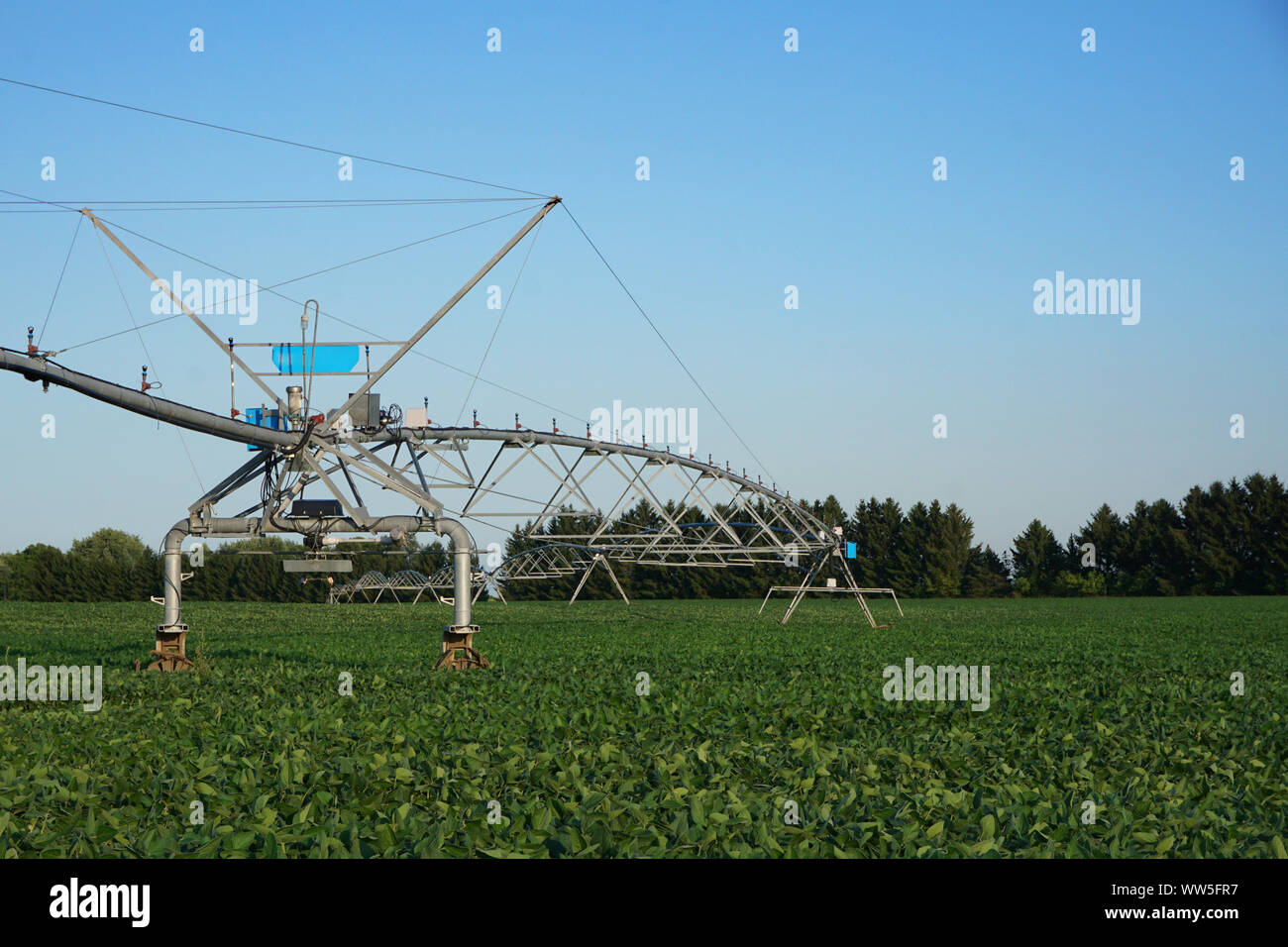 Impianti di irrigazione in un campo di semi di soia Foto Stock