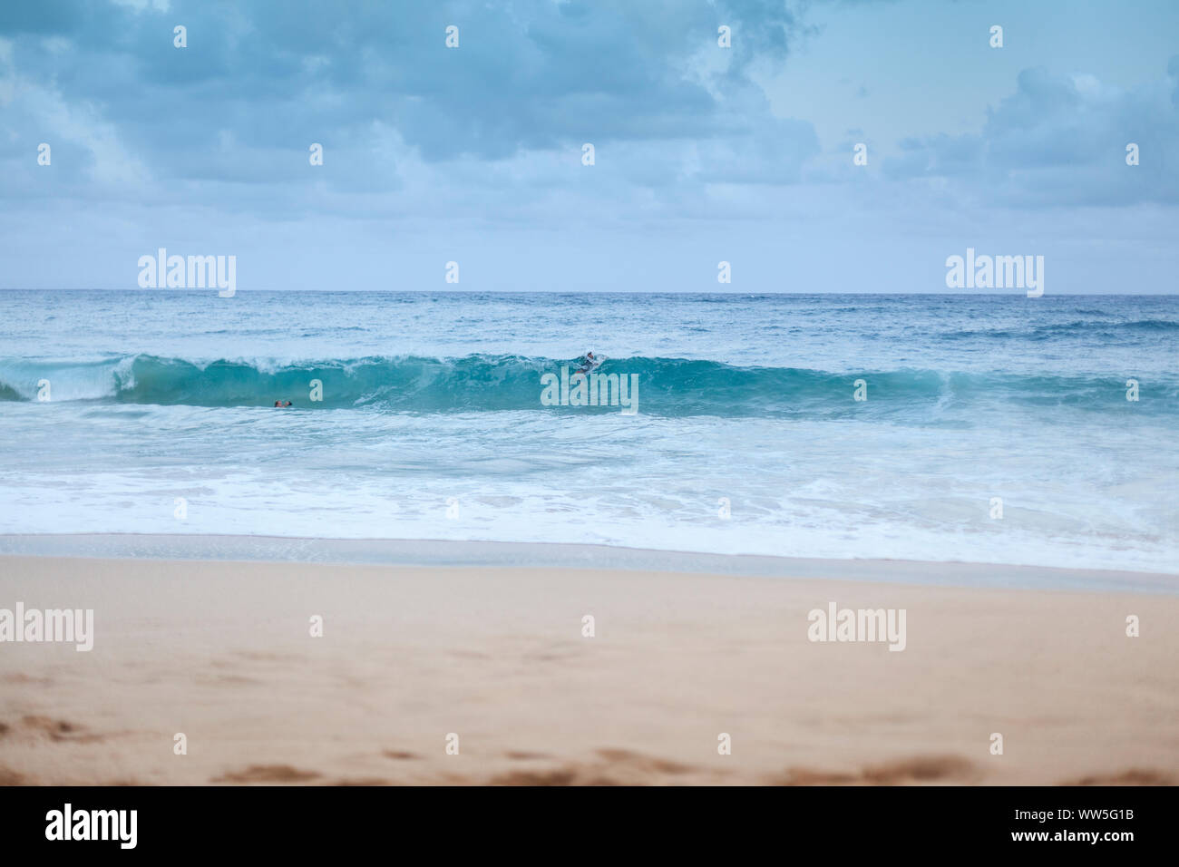 Spiaggia di sabbia, mare, surfer, Oahu, Hawaii, STATI UNITI D'AMERICA Foto Stock