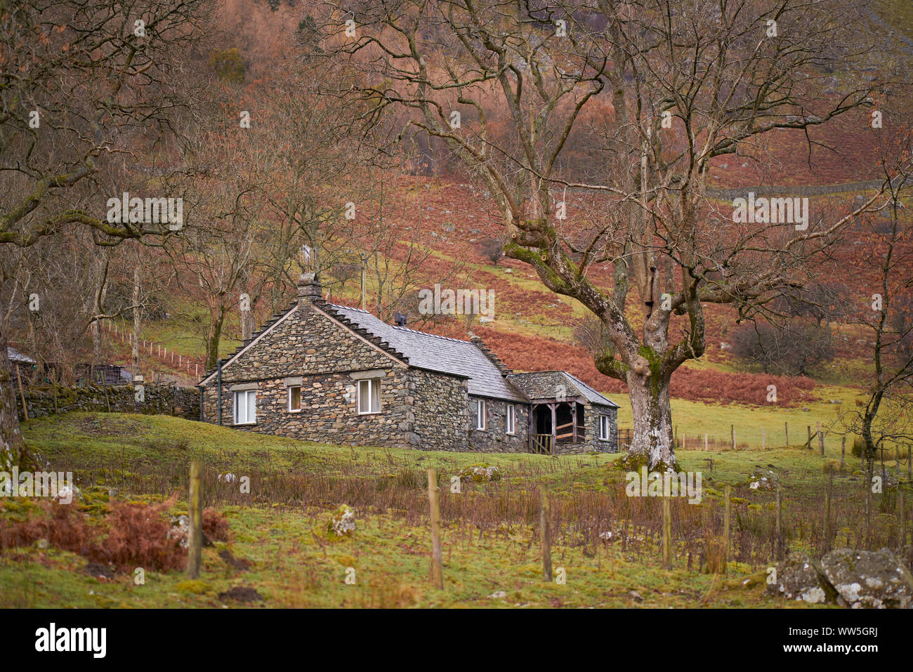 Un tradizionale cottage in pietra circondato da vecchi tress nel cuore del Distretto dei Laghi Inglesi su un giorno inverni. Foto Stock