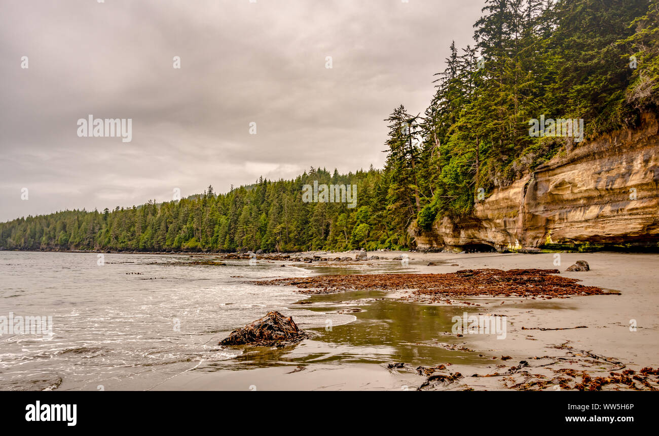 Mystic Beach, l'isola di Vancouver, British Columbia, Canada Foto Stock
