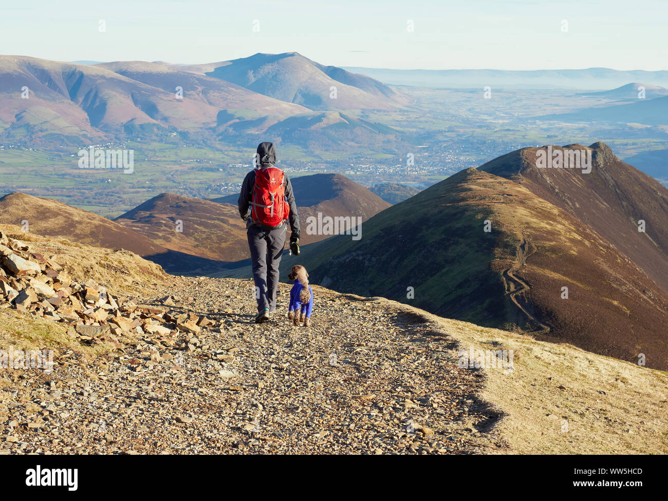 Un escursionista e il loro cane a piedi giù per la montagna cresta della cicatrice balze e Causey Pike nel Lake District inglese, UK. Foto Stock