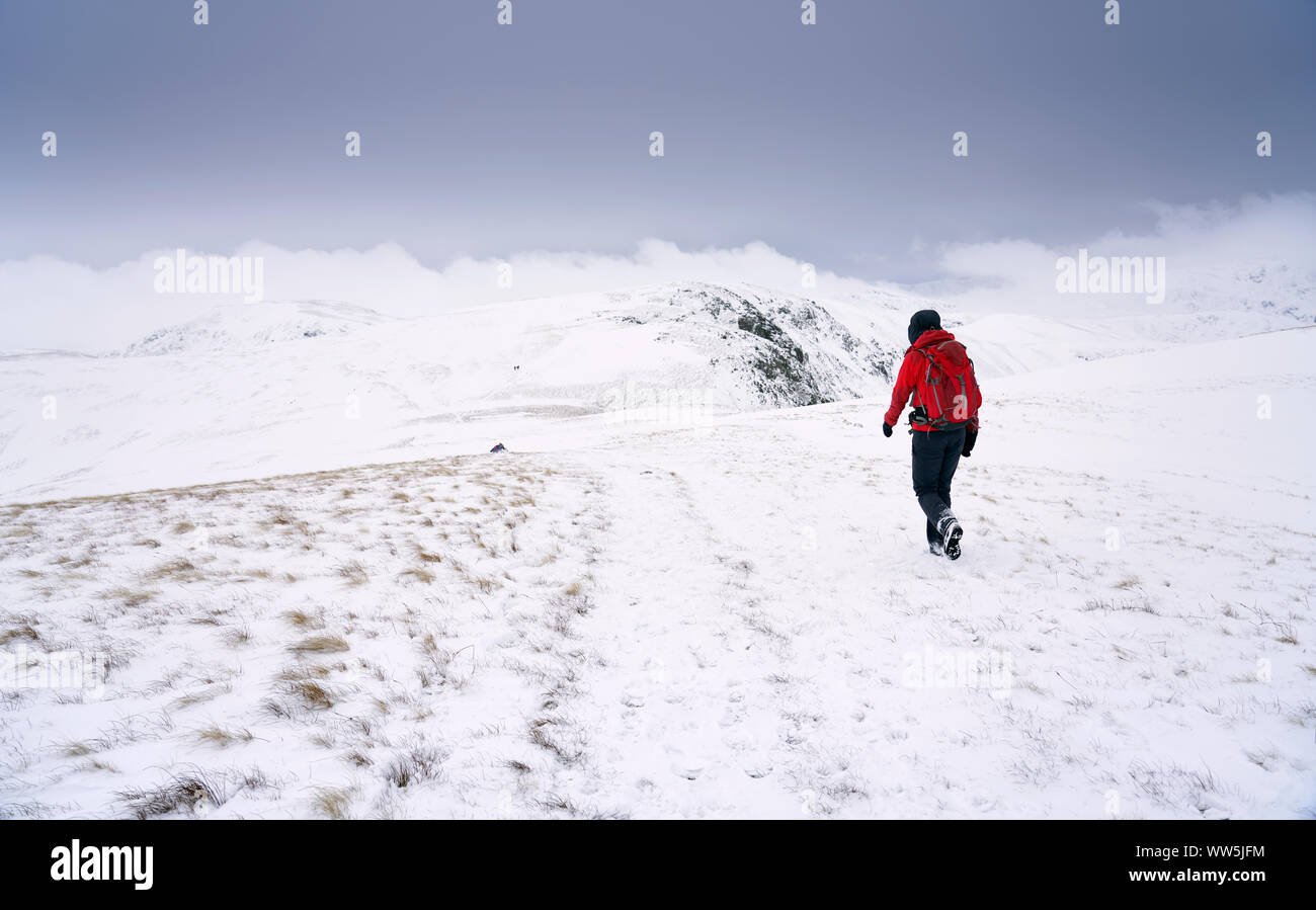 Un escursionista in dal bordo destro del telaio discendente attraverso la neve dal vertice di alta sollevare verso la testa Rampsgill vicino Hartsop nel distretto del Lago Foto Stock