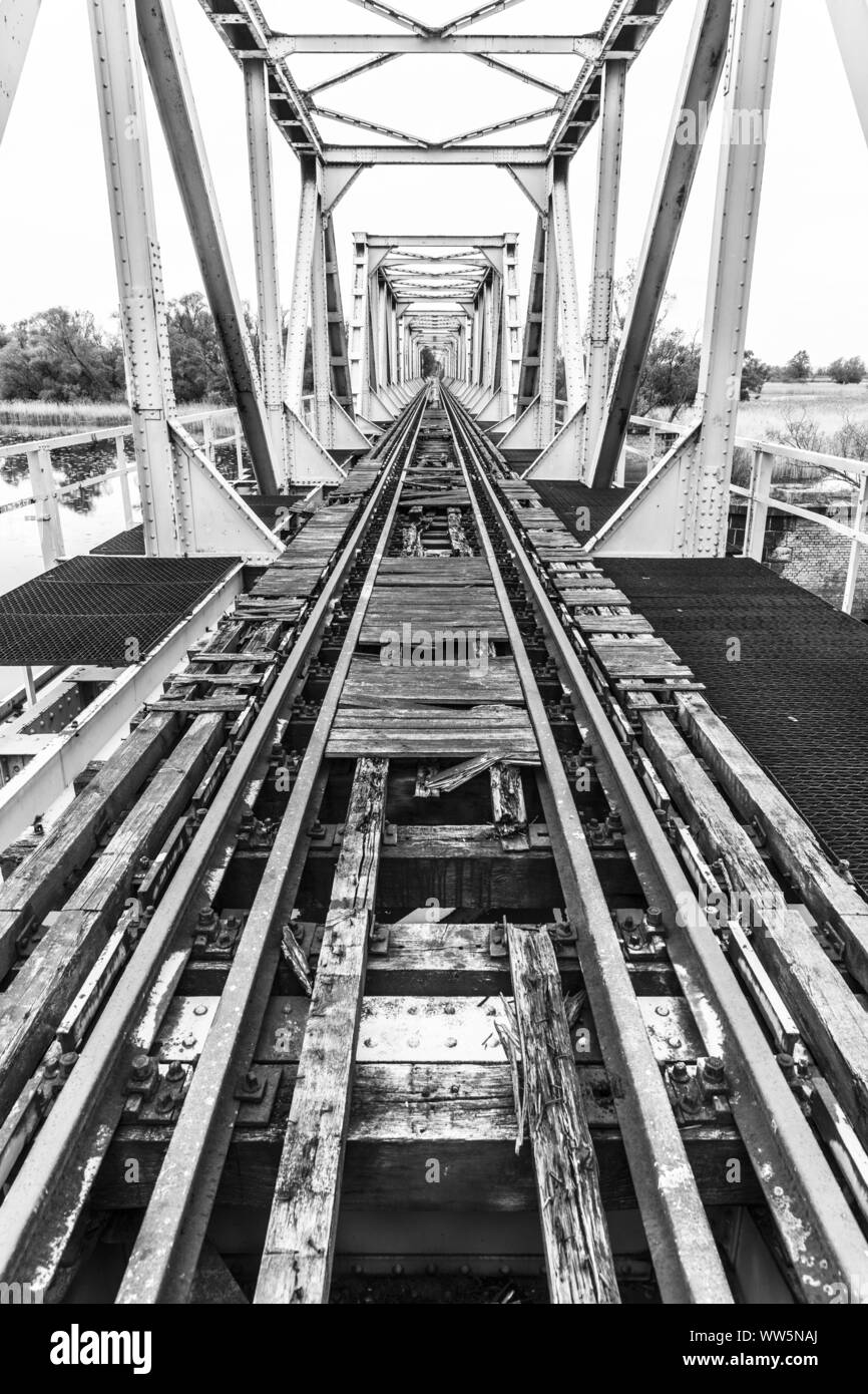 Polonia, Siekierki, ponte europeo, fiume Oder, ponte ferroviario Foto Stock