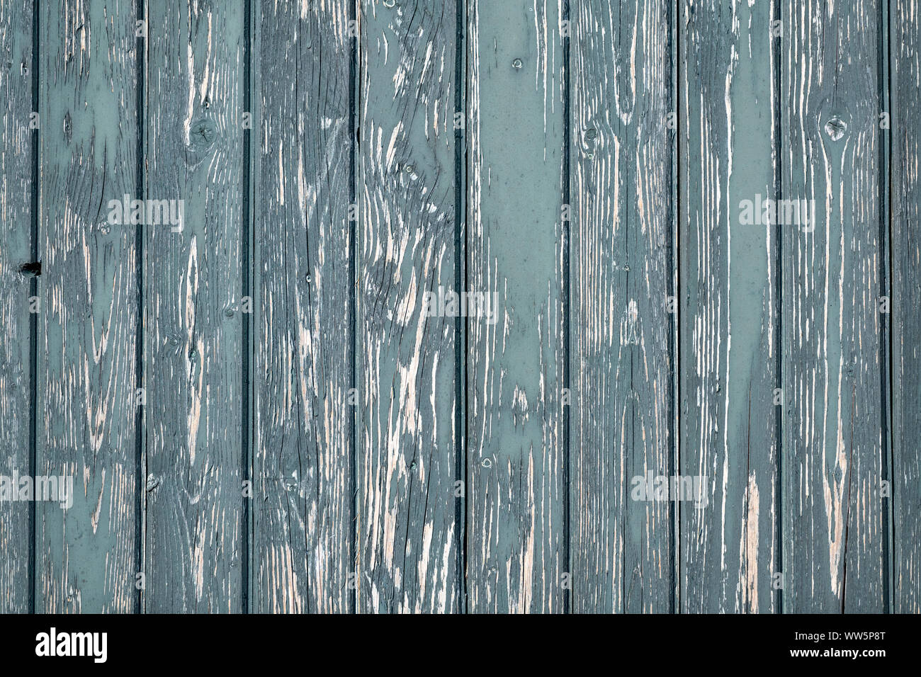 Foto di sfondo di weathered grigio verde vecchio listelli in legno la visualizzazione a schermo intero Foto Stock