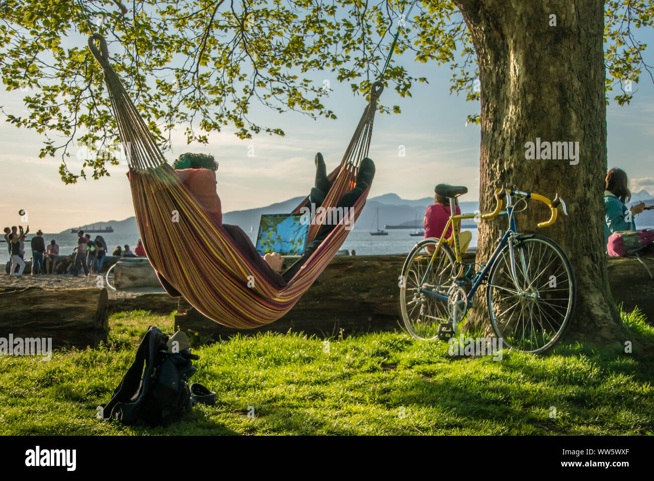 Uomo che lavora sul computer portatile in un'amaca, in corrispondenza di un albero la bicicletta, digital nomad, Vancouver, British Columbia, Canada Foto Stock