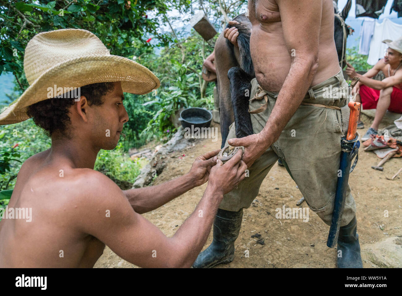 Gli unghioni di mulo sono calzati su un piccolo agriturismo nelle montagne della Sierra Maestra Foto Stock