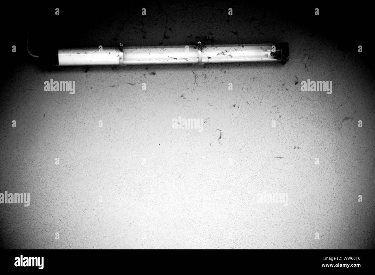 Fangoso, polveroso e sporco lampada alogena con cobwbs, Foto Stock