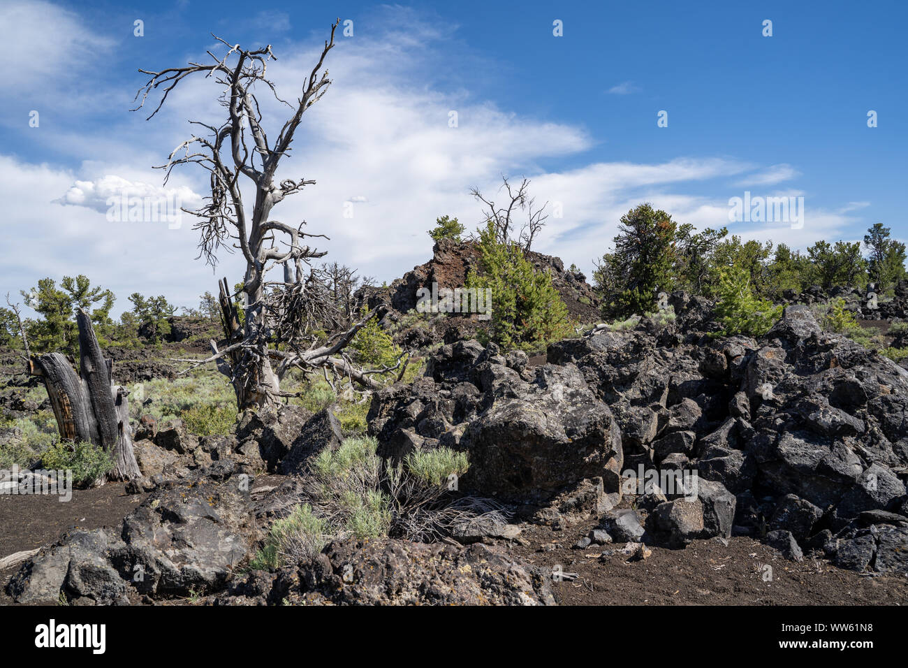 Devils Orchard trail in crateri della luna monumento nazionale vicino ad Arco, Idaho. Deserto sagebrush e roccia vulcanica Foto Stock