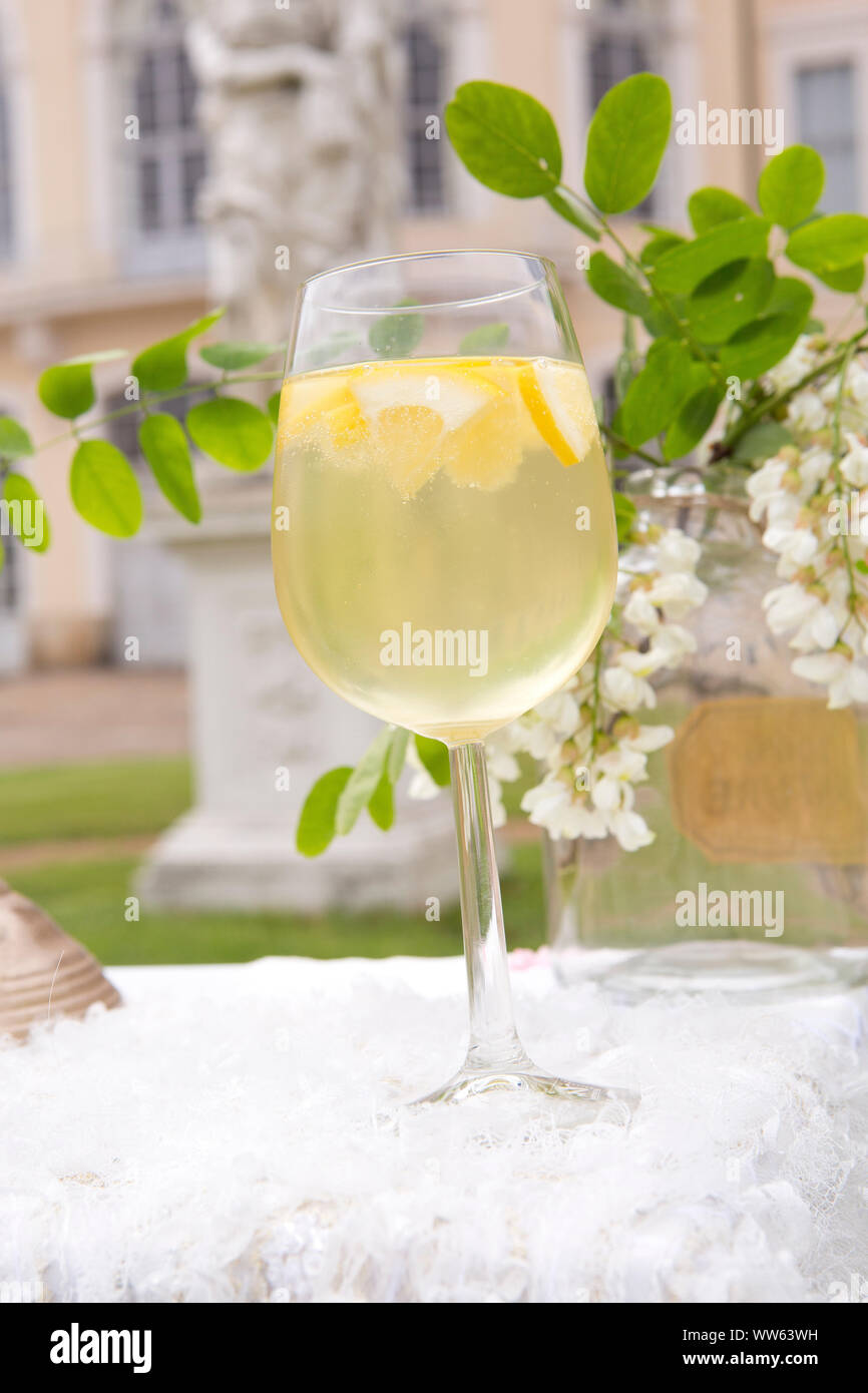 'A FREDDO' anatra, bevanda rinfrescante con vino spumante sul tavolo da giardino nella parte anteriore del castello di Hubertusburg, Wermsdorf, Bassa Sassonia, Germania Foto Stock